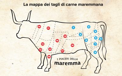 Mappa dei tagli di carne Maremmana