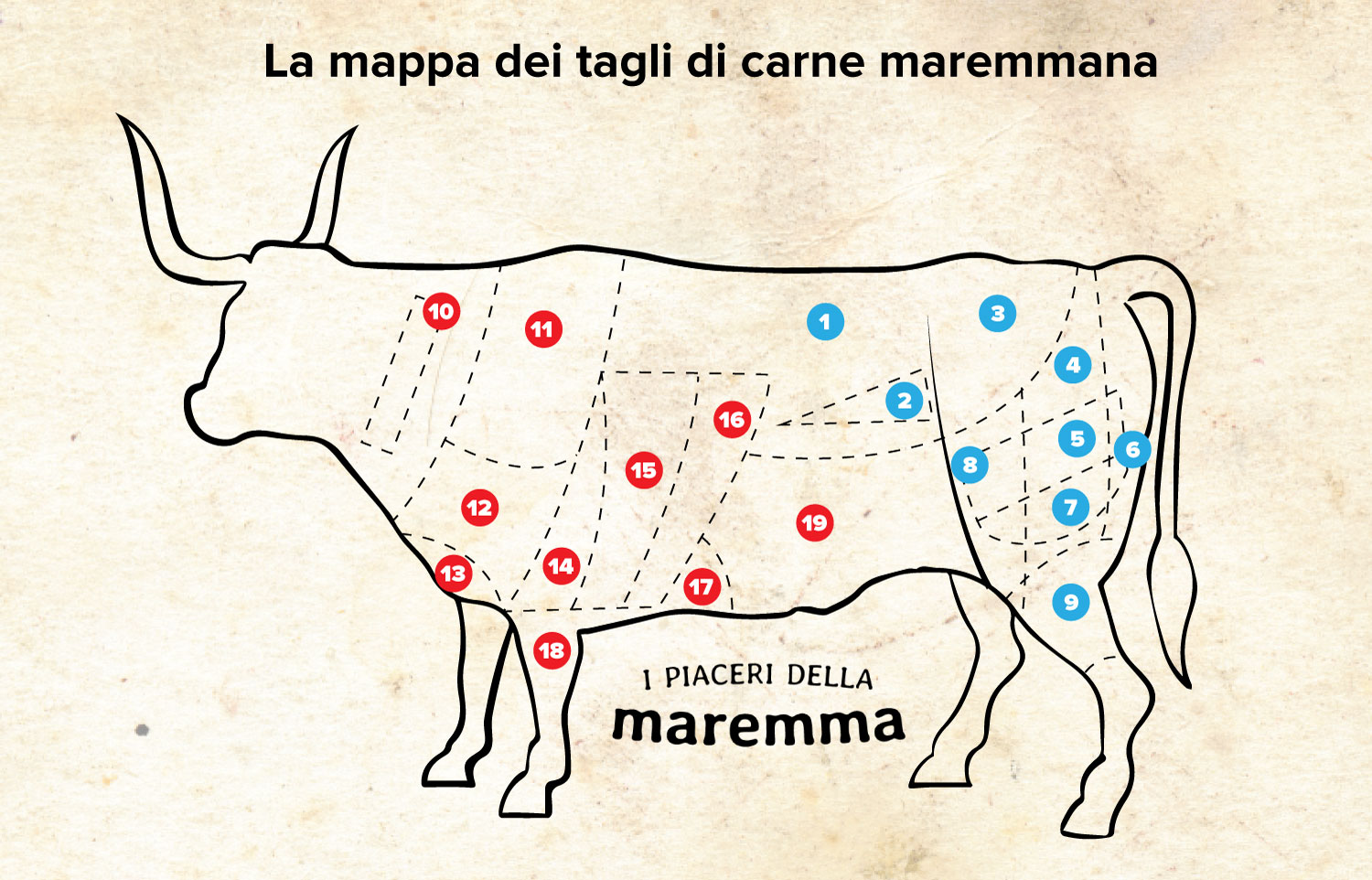 Mappa dei tagli di carne Maremmana - I piaceri della Maremma